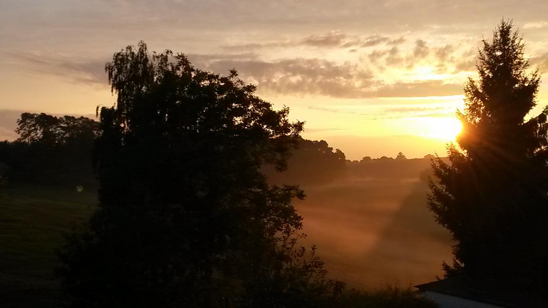 Ausblick vom Balkon